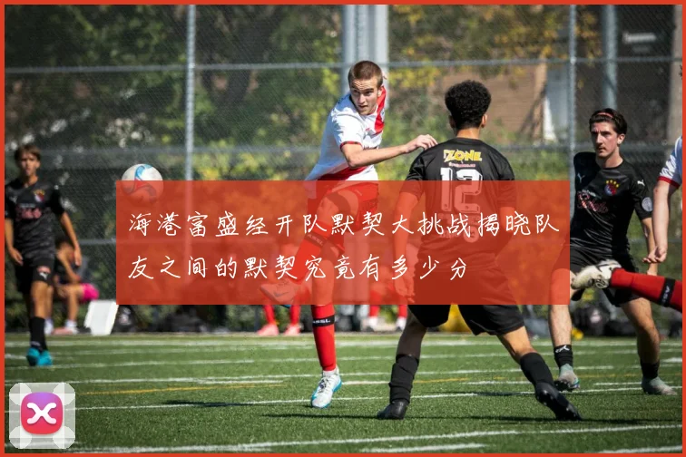 海港富盛经开队默契大挑战揭晓队友之间的默契究竟有多少分