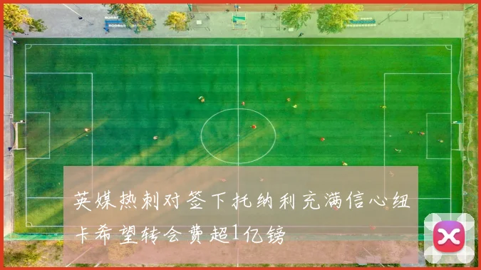 英媒热刺对签下托纳利充满信心纽卡希望转会费超1亿镑